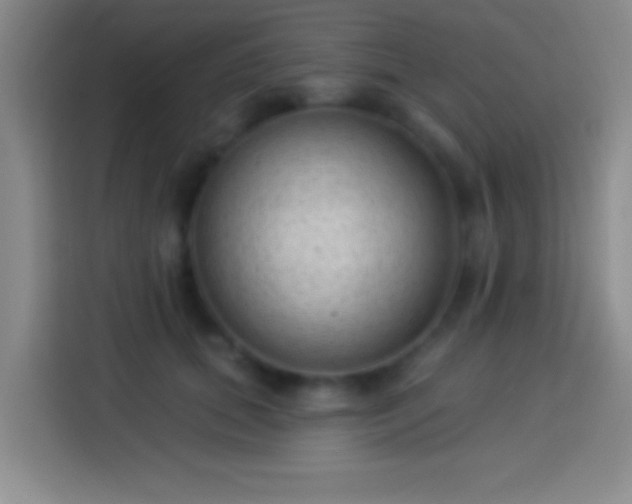 X0000113900655200910011344