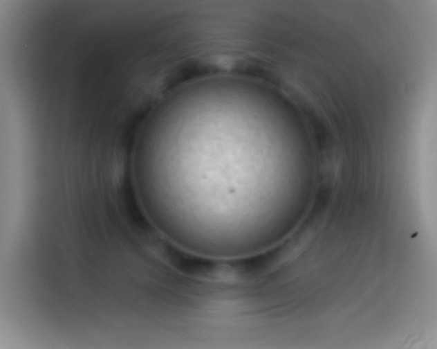 X0000113900656200910011344