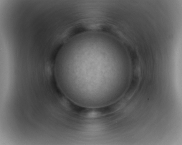 X0000113900658200910011344