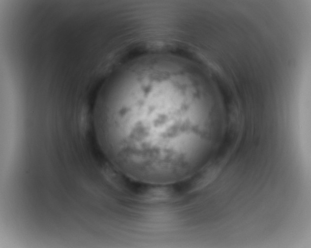 X0000113900659200910011344