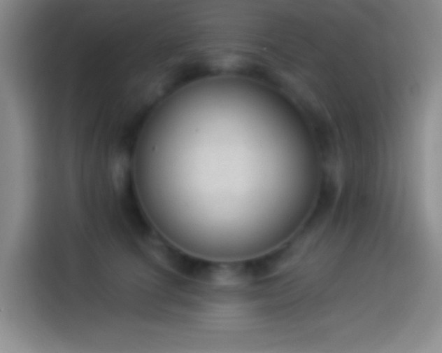 X0000113900660200910011344