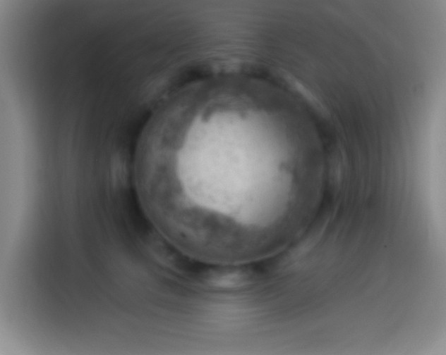 X0000113900661200910011344