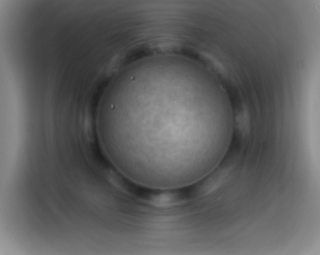 X0000113900662200910011344