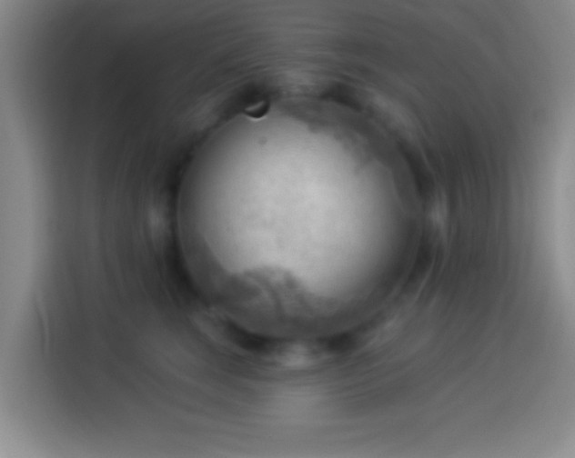 X0000113900663200910011344