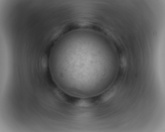 X0000113900664200910011344