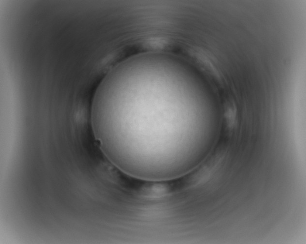 X0000113900665200910011344