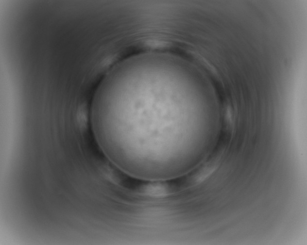 X0000113900668200910011344