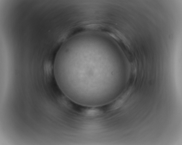 X0000113900669200910011344