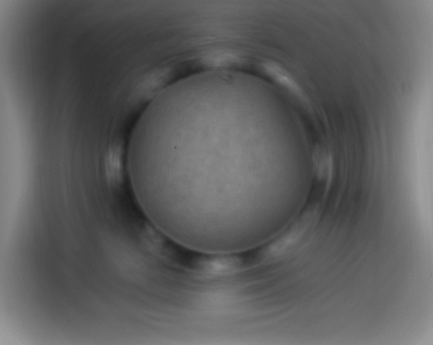 X0000113900670200910011344