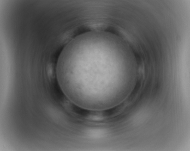 X0000113900671200910011344