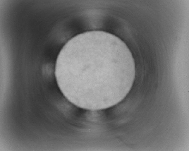 X0000113900672200910011344