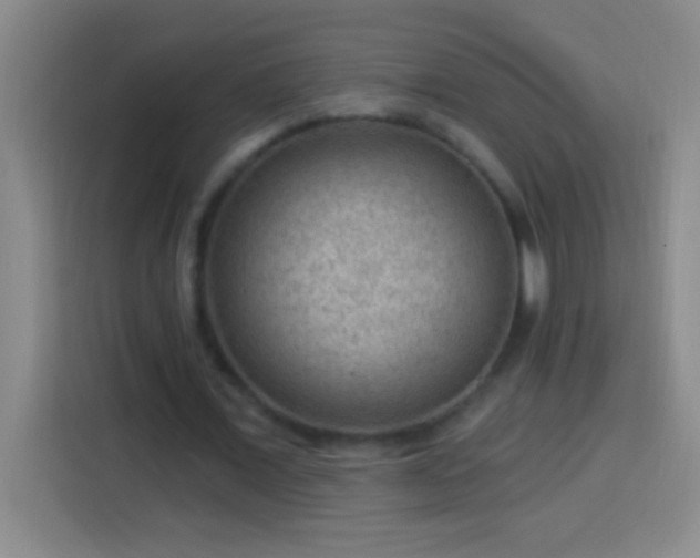 X0000113900675200910011343