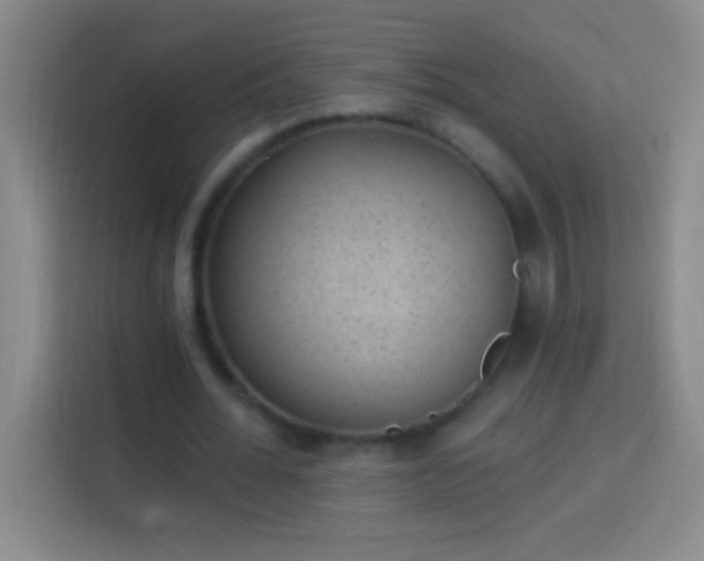 X0000113900676200910011343