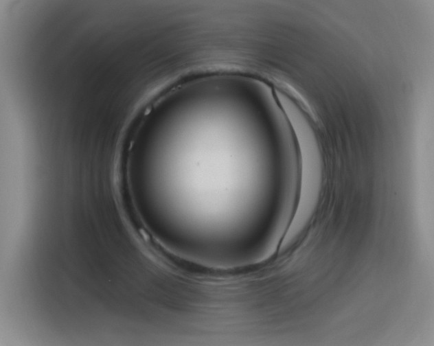 X0000113900677200910011343