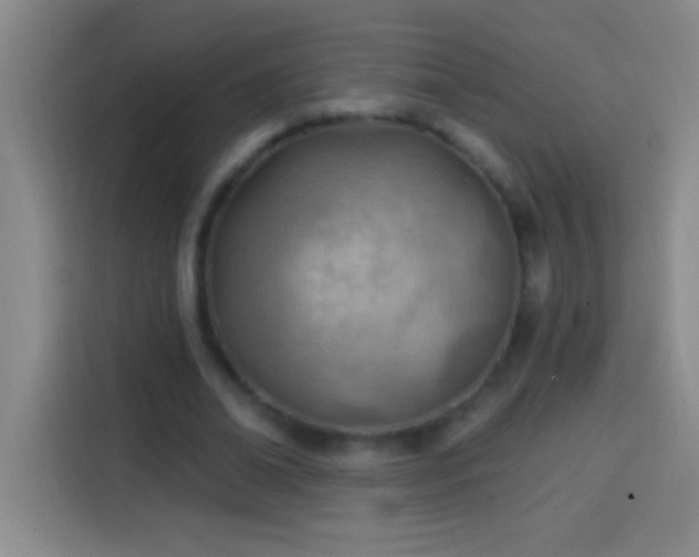 X0000113900678200910011343