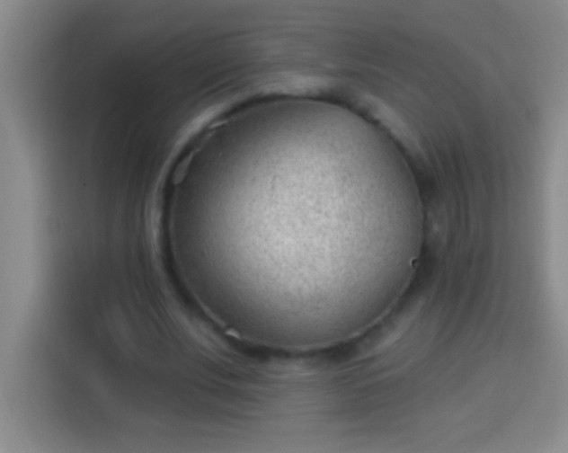 X0000113900679200910011343