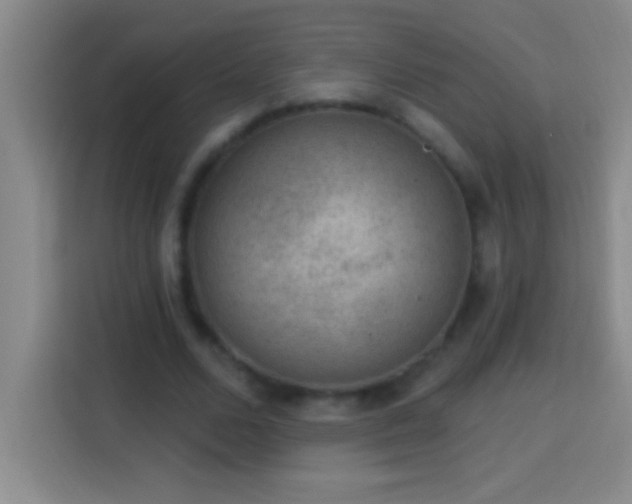 X0000113900680200910011343