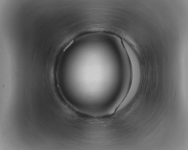 X0000113900681200910011343