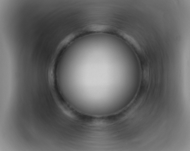 X0000113900682200910011343