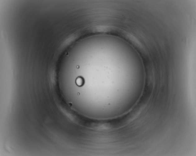 X0000113900683200910011343