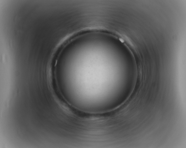 X0000113900684200910011343