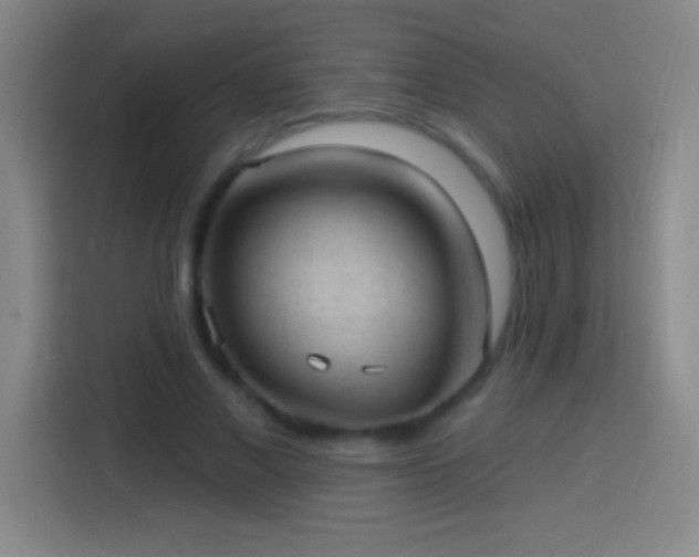 X0000113900685200910011343