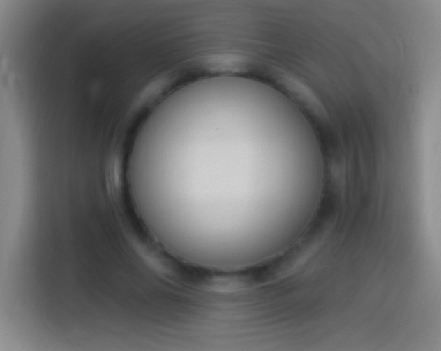 X0000113900686200910011343