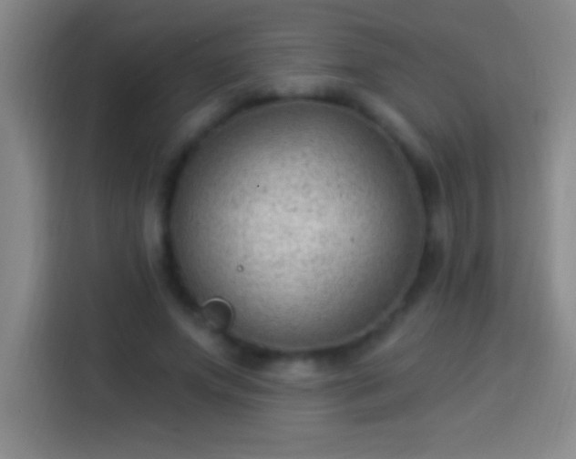 X0000113900687200910011343