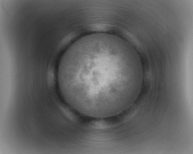 X0000113900688200910011343