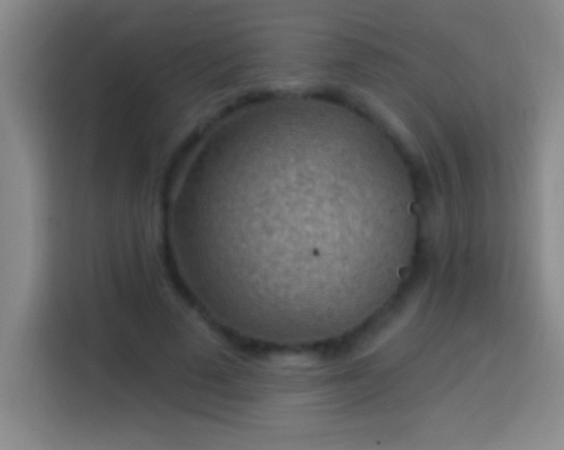 X0000113900689200910011343