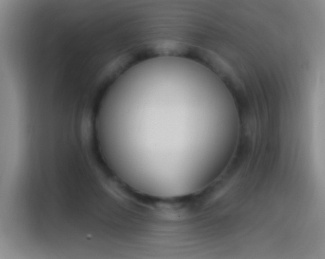 X0000113900690200910011343