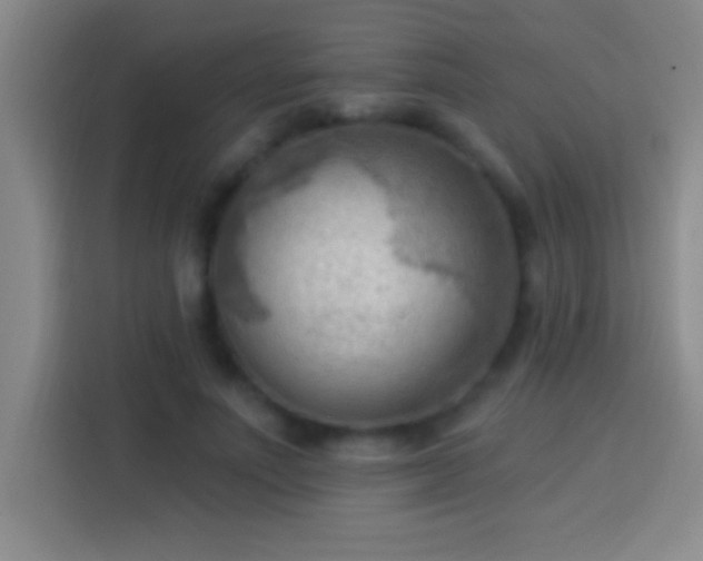 X0000113900691200910011343