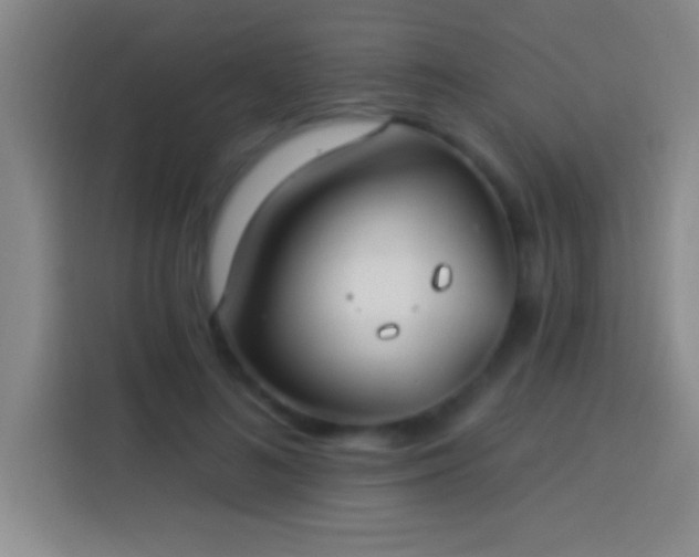 X0000113900692200910011343