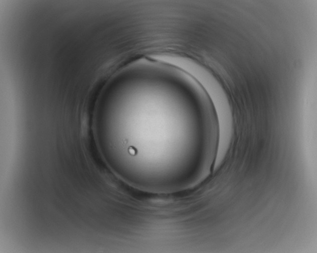 X0000113900693200910011343