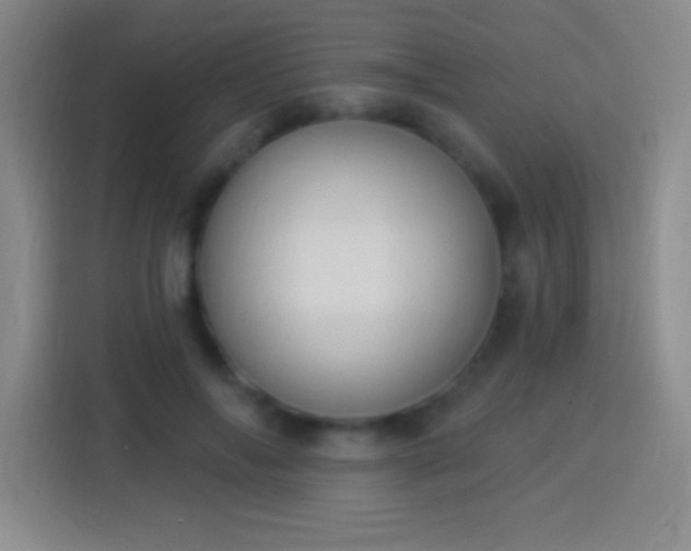 X0000113900694200910011343