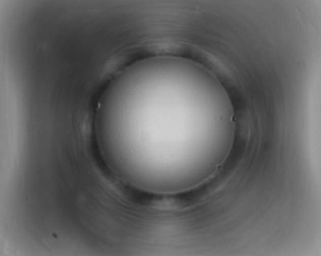 X0000113900695200910011343