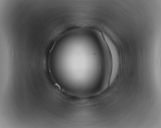 X0000113900696200910011343