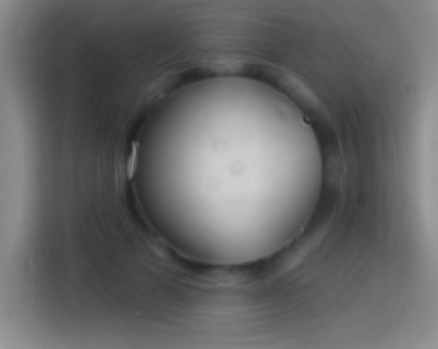 X0000113900697200910011343