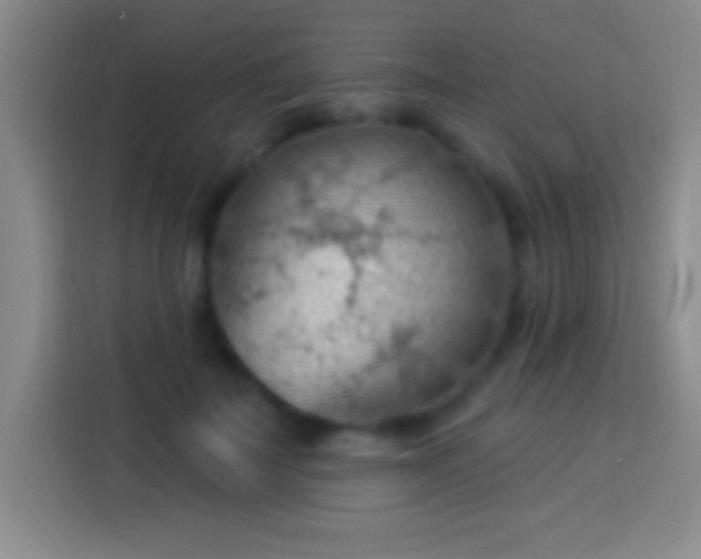 X0000113900699200910011343