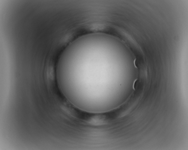 X0000113900700200910011343