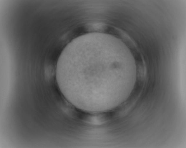 X0000113900701200910011343