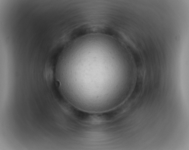 X0000113900703200910011343