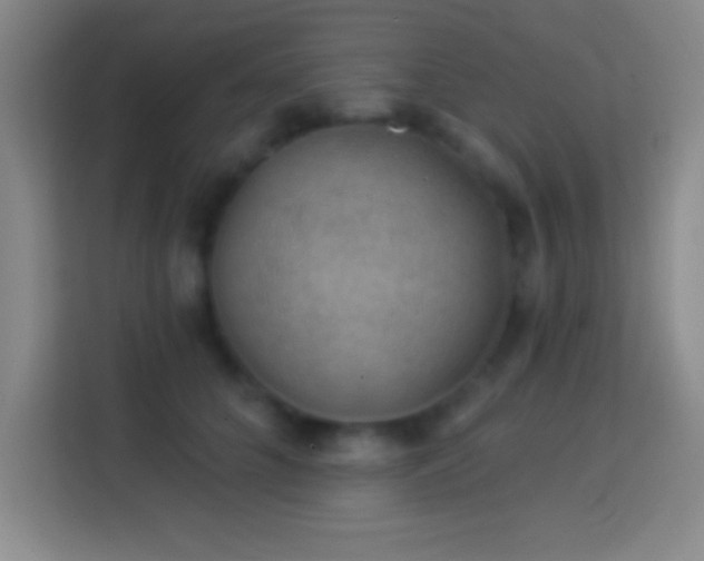 X0000113900704200910011343