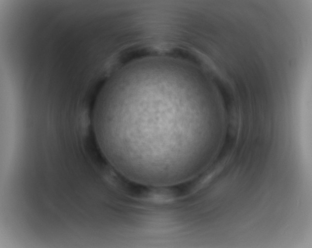 X0000113900707200910011343