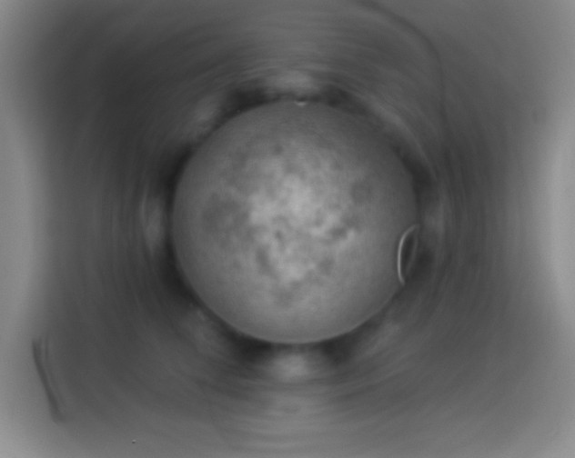 X0000113900708200910011343