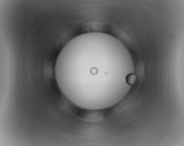 X0000113900709200910011343