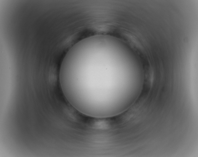 X0000113900710200910011343