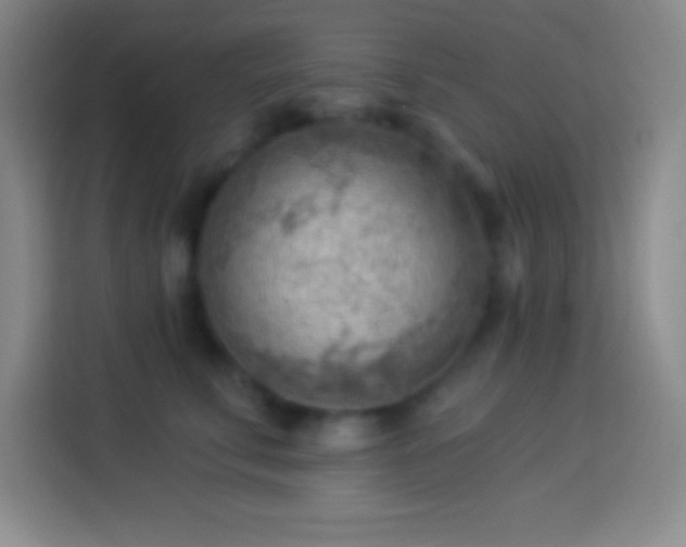 X0000113900711200910011343