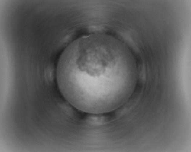 X0000113900712200910011343