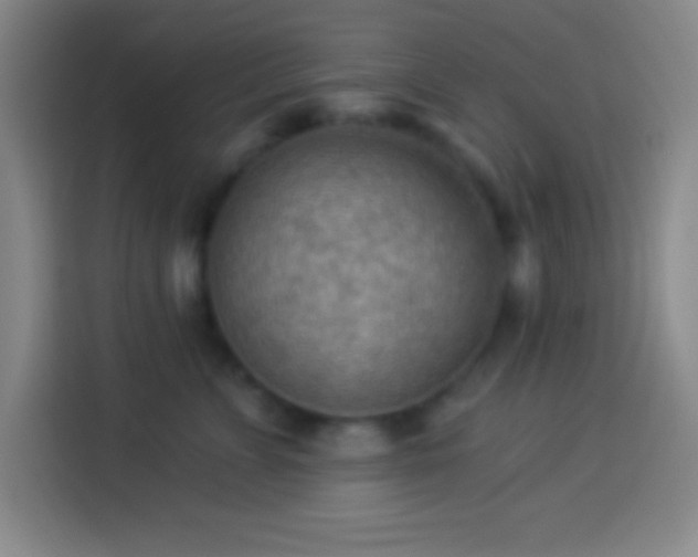 X0000113900715200910011343